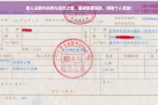 收入证明的风险与应对之策，揭秘隐藏风险，保障个人权益！