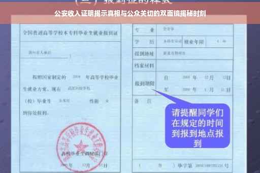 公安收入证明揭示真相与公众关切的双面镜揭秘时刻