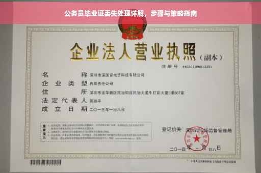 公务员毕业证丢失处理详解，步骤与策略指南