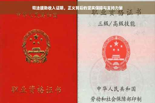司法援助收入证明，正义背后的坚实保障与支持力量