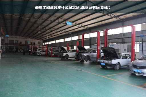表彰奖励适合发什么纪念品,毕业证书玩偶图片