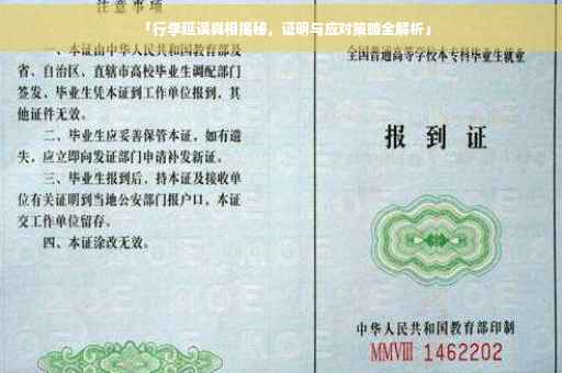 「行李延误真相揭秘，证明与应对策略全解析」