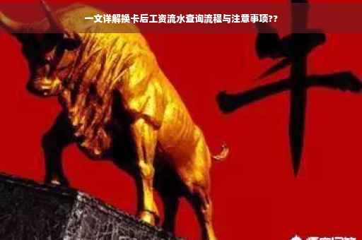 一文详解换卡后工资流水查询流程与注意事项??