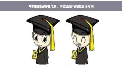 车祸伤残证明书详解，事故鉴定与赔偿流程指南