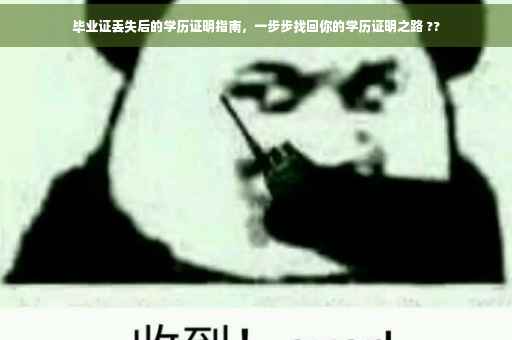 毕业证丢失后的学历证明指南，一步步找回你的学历证明之路 ??