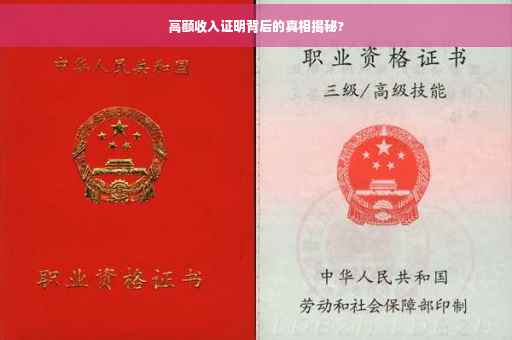 高额收入证明背后的真相揭秘?