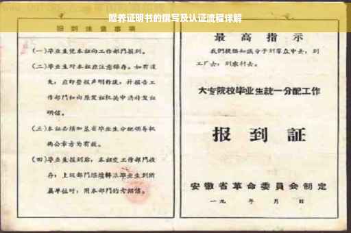 赡养证明书的撰写及认证流程详解