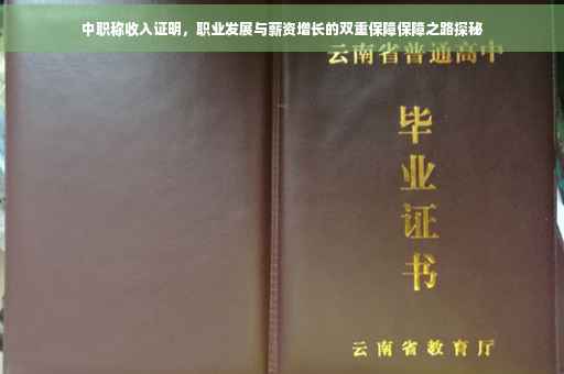 中职称收入证明，职业发展与薪资增长的双重保障保障之路探秘