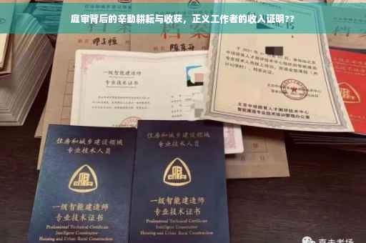 庭审背后的辛勤耕耘与收获，正义工作者的收入证明??