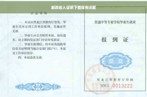 邮政收入证明下载指南详解