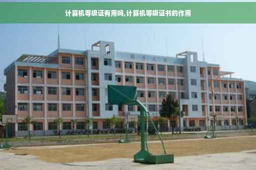 计算机等级证有用吗,计算机等级证书的作用