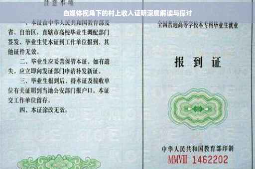 自媒体视角下的村上收入证明深度解读与探讨