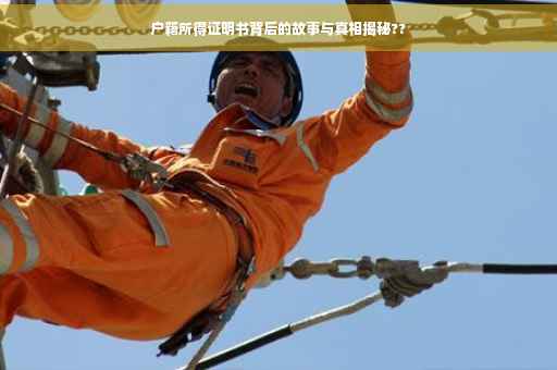 户籍所得证明书背后的故事与真相揭秘?? 户籍所得证明书背后的故事与真相揭秘??