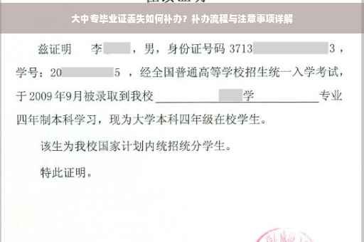 大中专毕业证丢失如何补办？补办流程与注意事项详解