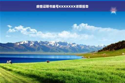 病情证明书编号XXXXXXX详细报告