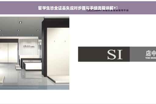留学生毕业证丢失应对步骤与手续流程详解?✨