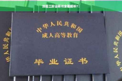 沈阳工龄证明书全面解析?✨