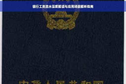 银行工资流水深度解读与应用场景解析指南