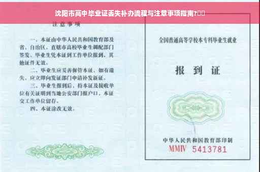 沈阳市高中毕业证丢失补办流程与注意事项指南?⚡️