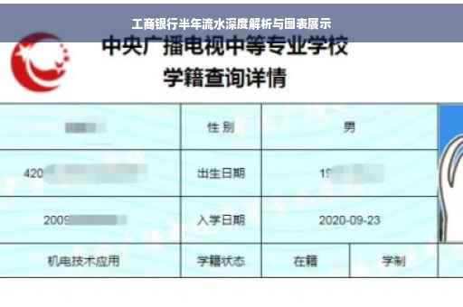 工商银行半年流水深度解析与图表展示