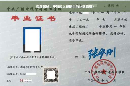 深度揭秘，干部收入证明中的补贴真相?