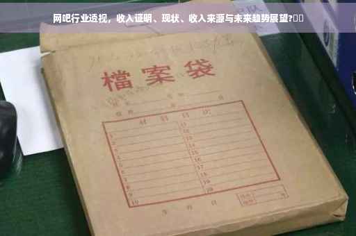 网吧行业透视，收入证明、现状、收入来源与未来趋势展望?⚡️