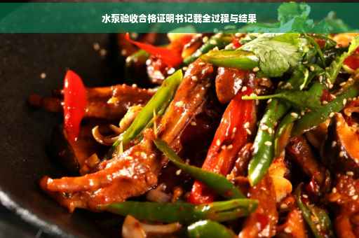 水泵验收合格证明书记载全过程与结果