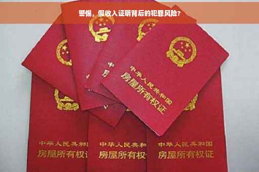 警惕，假收入证明背后的犯罪风险?