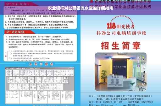 农业银行对公网银流水查询详解指南