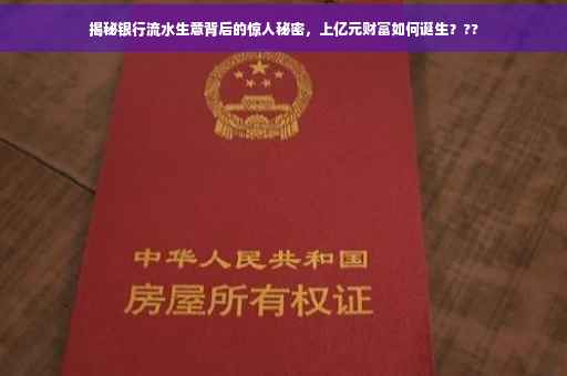 揭秘银行流水生意背后的惊人秘密，上亿元财富如何诞生？??