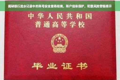 揭秘银行流水记录中的账号安全查看指南，账户信息保护，犯罪风险警惕提示