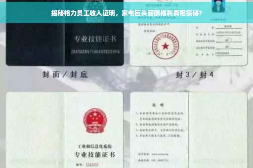 揭秘格力员工收入证明，家电巨头薪酬福利真相探秘?