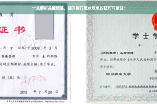 一文解析关键策略，提升银行流水账单的技巧与策略！