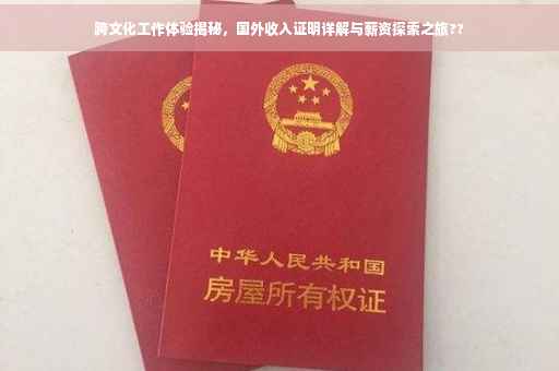 跨文化工作体验揭秘，国外收入证明详解与薪资探索之旅??