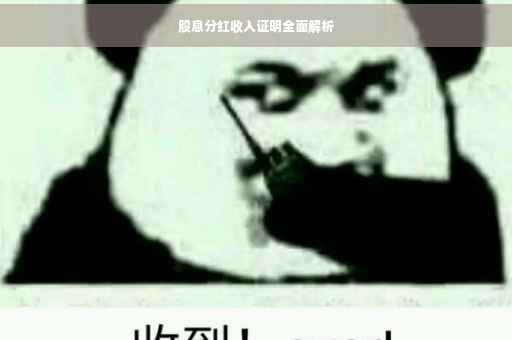股息分红收入证明全面解析