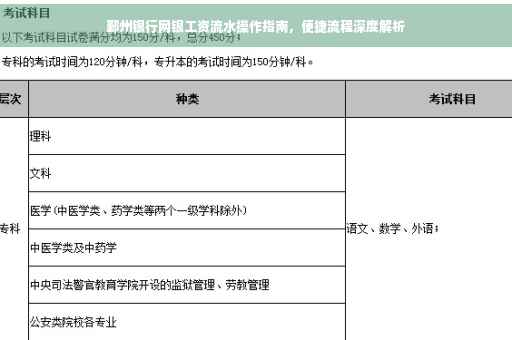 鄞州银行网银工资流水操作指南，便捷流程深度解析
