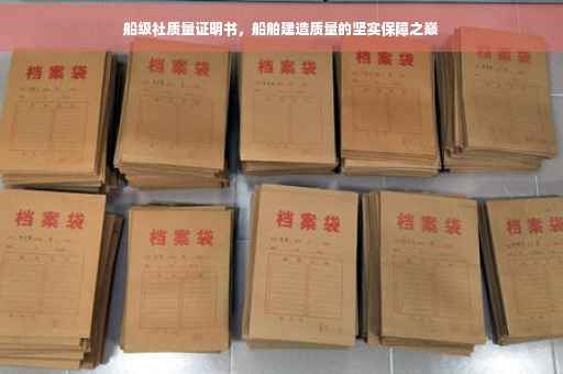 船级社质量证明书，船舶建造质量的坚实保障之巅