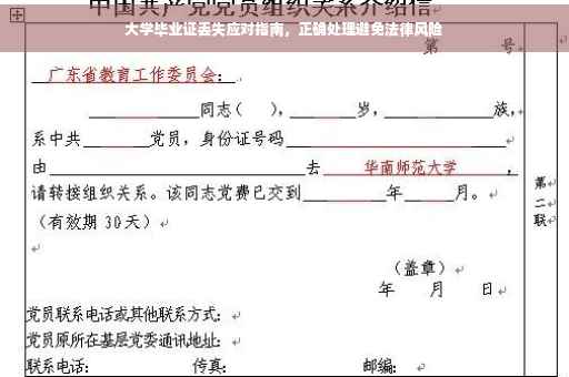 大学毕业证丢失应对指南，正确处理避免法律风险