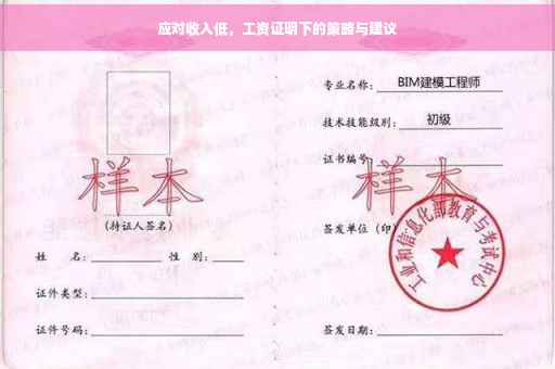 应对收入低，工资证明下的策略与建议