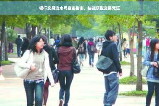 银行交易流水号查询指南，快速获取交易凭证