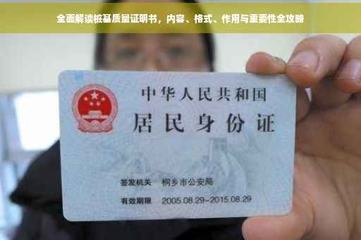 全面解读桩基质量证明书，内容、格式、作用与重要性全攻略