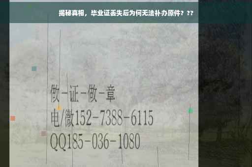 揭秘真相，毕业证丢失后为何无法补办原件？??