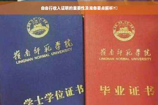 自由行收入证明的重要性及准备要点解析?✨