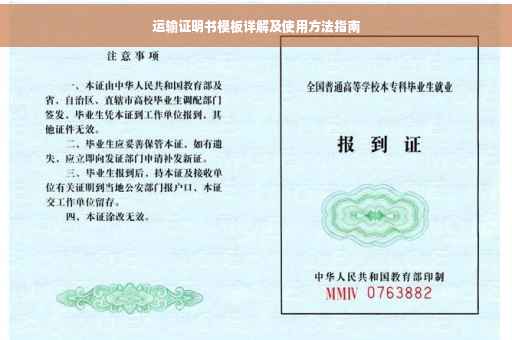 运输证明书模板详解及使用方法指南