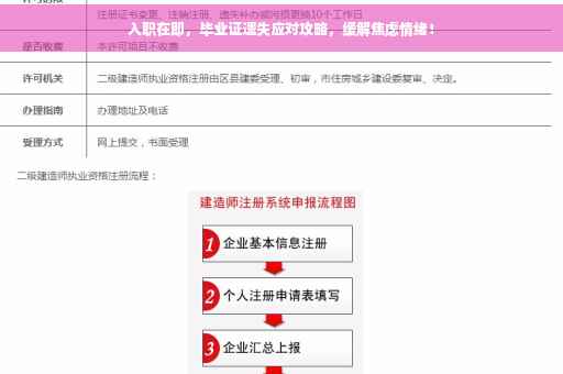 入职在即，毕业证遗失应对攻略，缓解焦虑情绪！
