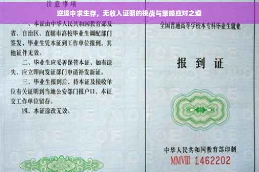 逆境中求生存，无收入证明的挑战与策略应对之道