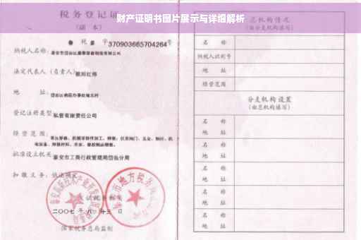财产证明书图片展示与详细解析