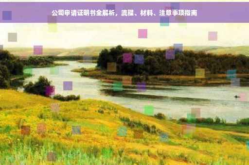 公司申请证明书全解析，流程、材料、注意事项指南