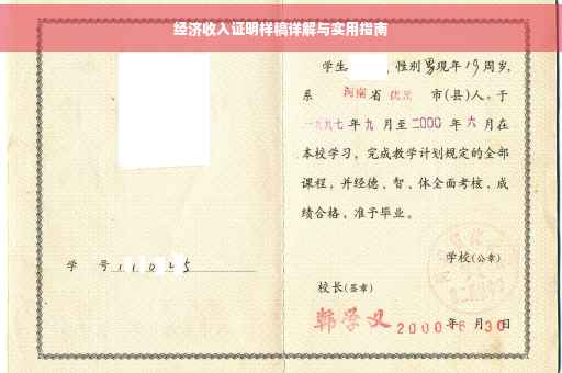 经济收入证明样稿详解与实用指南