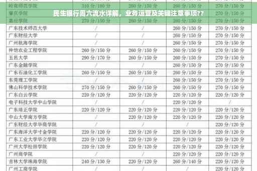 民生银行周六流水详解，业务运营及关键注意事项??